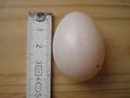 Egg, measured in centimetres