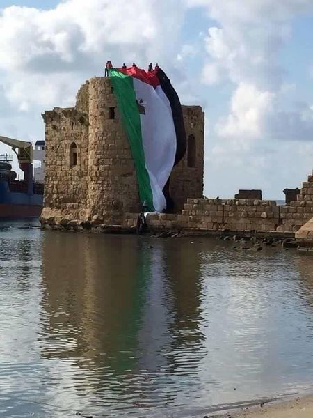 ملف:علم-فلسطين-على-قلعة-يافا-الانتفاضة-الثالثة-23-أكتوبر-2015.jpg