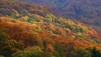 Autumn in the Bükk Mountains