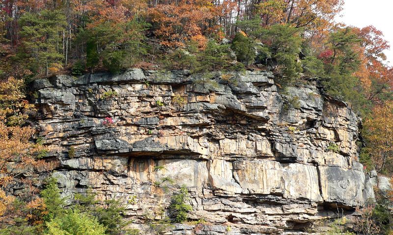 ملف:Cliffs above Gauley-27527.jpg