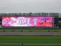 A Toshiba Super Color Vision screen in use at Kyoto Racecourse