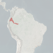 خريطة النطاق