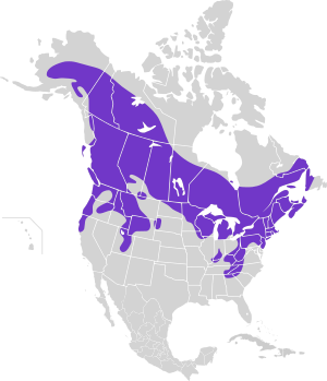 Bonasa umbellus map.svg