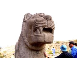 تمثال أسد من معبد عين دارا، صورة مقربة.