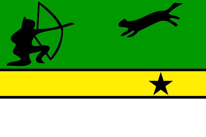 ملف:Flag of Amazonas (Colombia).svg