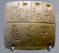Louvre Uruk III tablette écriture précunéiforme AO19936