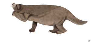 Megatherium americanum by sphenaphinae.png