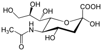 N-Acetylneuraminic acid.svg