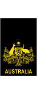 ملف:Royal Australian Navy OR-9a.svg