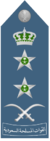 Royal Saudi Air Force -Air Chief Marshal.png