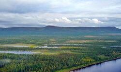 منظر لنهر تونگوسكا الأسفل في هضبة سيبيريا الوسطى