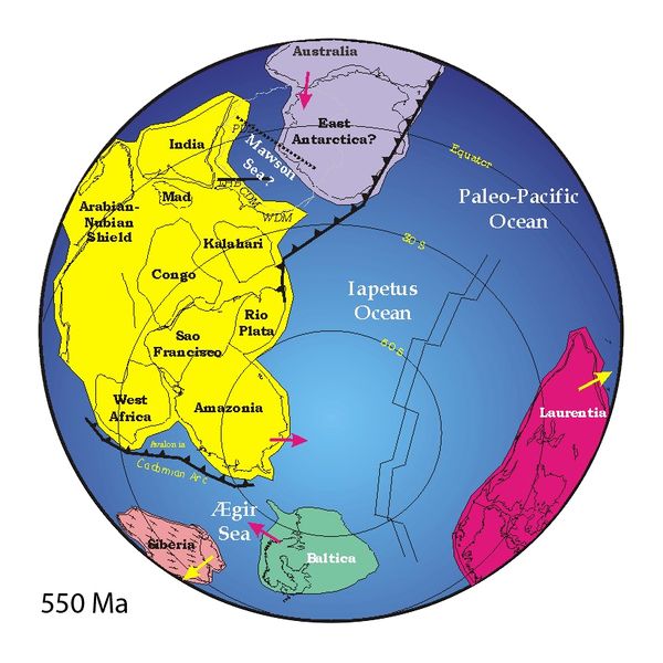 ملف:Positions of ancient continents, 550 million years ago.jpg