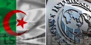علم الجزائر-صندوق النقد.jpg