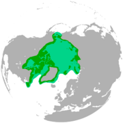 خريطة النطاق