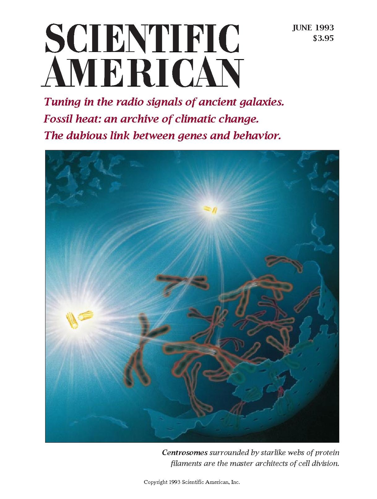 Scientific American - 1993.06 - Tuning in the Radio Signals of Ancient Galaxies.pdf