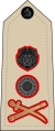 General (Malawian Army)