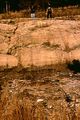 Unconformity (at the hammer) between underlying Mississippian Borden Formation and overlying Pennsylvanian Sharon Conglomerate, on US Rt. 35, near Jackson, Ohio