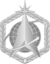 Chief Master Sergeant of the Space Force service cap badge.