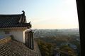 The castle rooftops and surrounding city