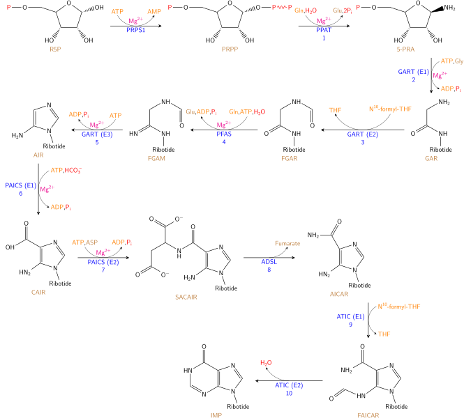ملف:Nucleotides syn1.svg