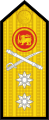 Rear admiral (Sri Lanka Navy)[19]