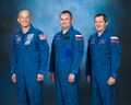 Soyuz TMA-20M official crew portrait.jpg