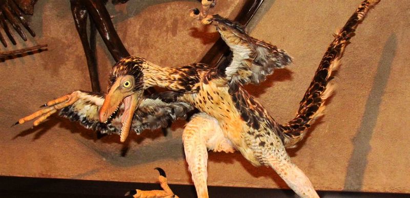 ملف:Archaeopteryx reconstruction.jpg