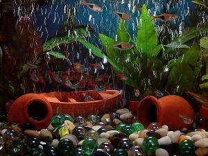 Photo displaying plants, small fish, and what appear to be tipped-over orange vases