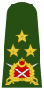 Turkey-army-OF-8.svg