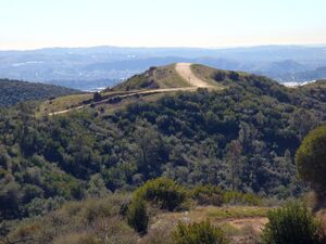 Rolling hills in a Mediterranean climate