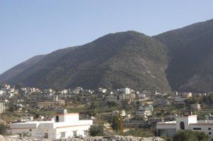 Arabsalim, 2008
