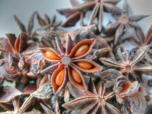 Illicium verum in HDR.jpg
