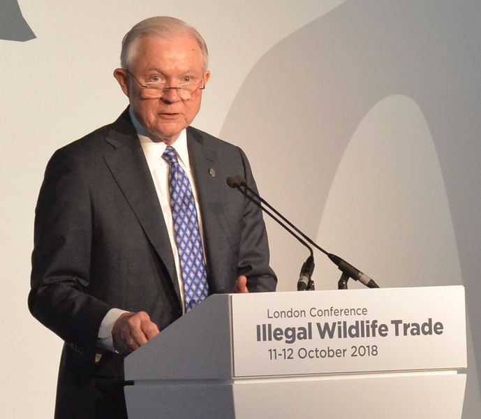 ملف:Illegal Wildlife Trade Conference London 2018 (44523848554) (cropped).jpg