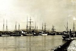 Sailboats in port