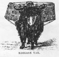 Baggage Yak, 1870s