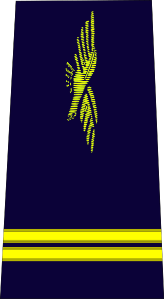ملف:French Air Force-lieutenant.svg