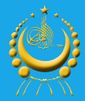 الشعار جمهورية تركستان الشرقية في المنفى
