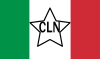 Flag of Italian Committee of National Liberation.svg
