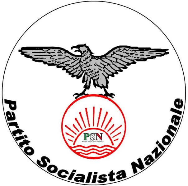 ملف:Logo Del PSN.jpg
