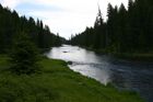 A river flows through grassy meadows surrounded by coniferous forest