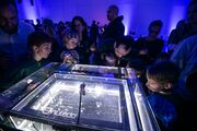 Cloud chamber during the European Researchers' Night at FZU.