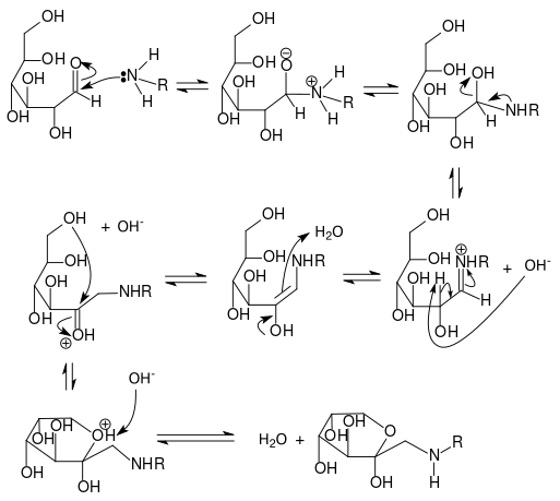 آلية تكوين منتج أمادوري من د.گلوكوز.