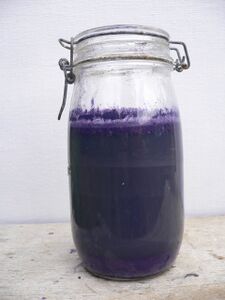 Dye bath of Tyrian purple
