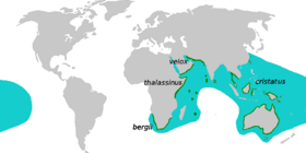 صورة معبرة عن الموضوع خرشنة متوجة كبيرة