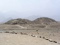 The Caral temples in the arid Supe Valley, some 20 km from the Pacific coast.