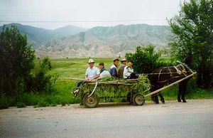 Kirgisien pferdewagen.jpg