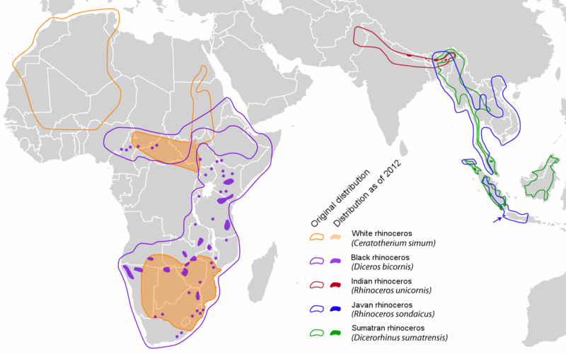 ملف:Rhinocerotidae distribution map en.png