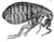 Micrographia Scheme 34.png