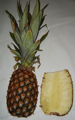 Split ananas.jpg