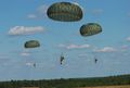 US Army 52231 'Airborne' in five languages 6.jpg